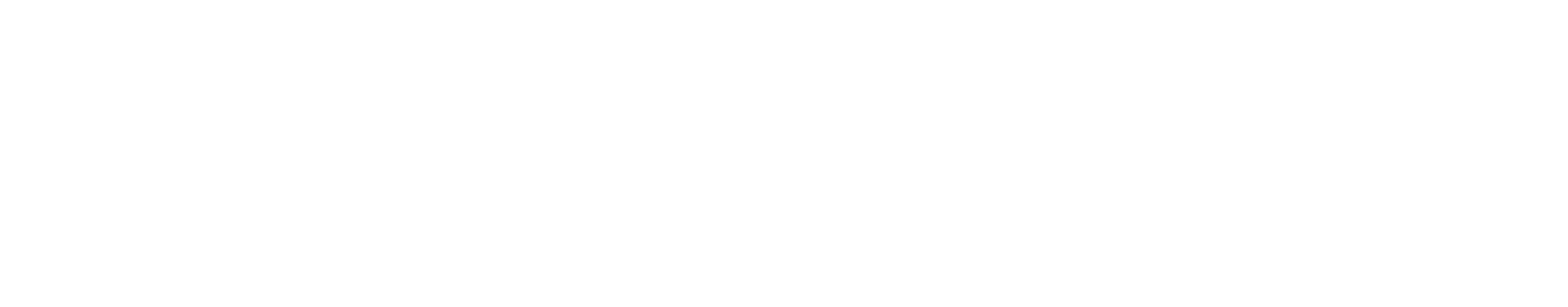 christmann-logo-weis